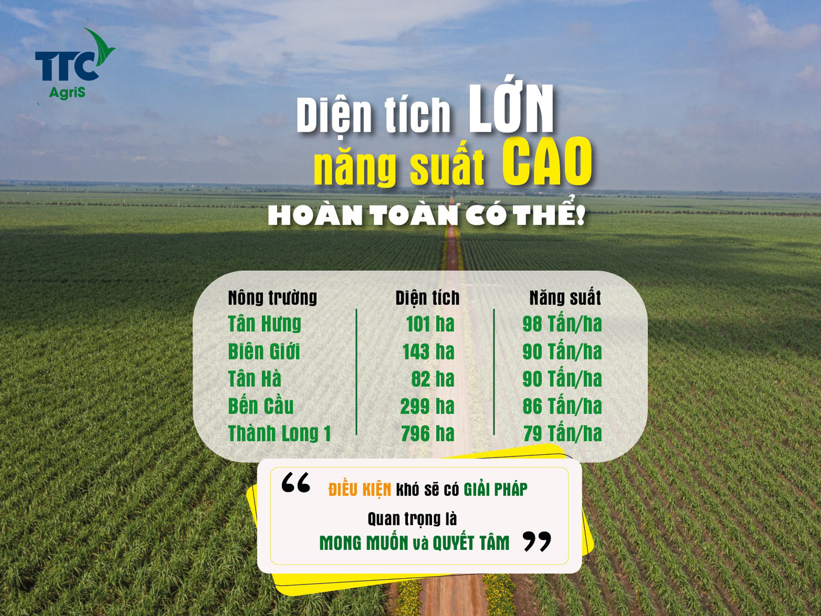 Các nông trường lớn thuộc TTC AgriS đã chứng minh: Diện tích lớn – Năng suất cao